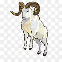 ��ɫ����-������