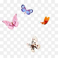 ������º���Ư���ز�-������