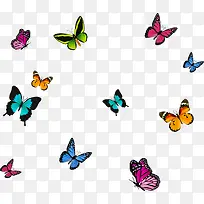 ������º���Ư���ز�-������