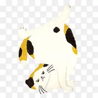 插画一只倒立的猫-空若网 插画一只倒立的猫-空若网