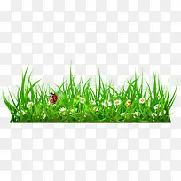 ��ů������ɫ�ݴ�-������