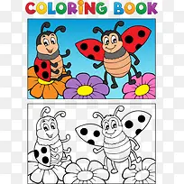 两只七星瓢虫-空若网 两只七星瓢虫-空若网