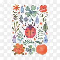 ʸ��ˮ����Ҷư��-������