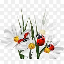 ���ϵ�����ư��-������