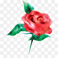 水彩画蔷薇花展架-空若网 水彩画蔷薇花展架-空若网