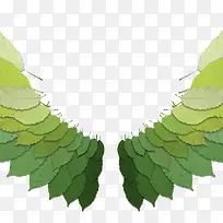 Ҷ�ӳ��-������