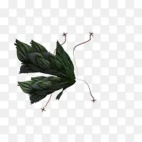 树叶组合蝴蝶-空若网 树叶组合蝴蝶-空若网