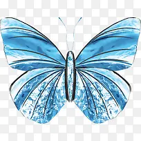 唯美冰晶蝴蝶-空若网 唯美冰晶蝴蝶-空若网