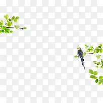 树枝上的鸟-空若网 树枝上的鸟-空若网