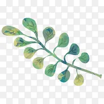 手绘树枝-空若网 手绘树枝-空若网