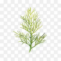 矢量松树枝-空若网 矢量松树枝-空若网