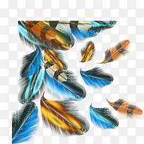 �����ëʸ����ɫ��ë��ͼ-������