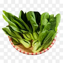 新鲜油菜-空若网 新鲜油菜-空若网