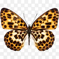 �ڵ������png�ز�-������