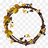 Ư������֦�����ز�-������