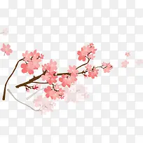 �һ���֦-������