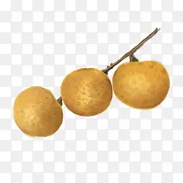 �ֻ�ˮ������-������