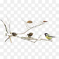 树枝和小鸟-空若网 树枝和小鸟-空若网