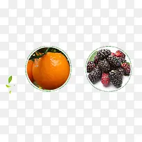 ����ɣ�ز�Ʒʵ��-������