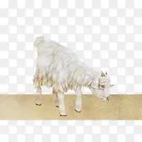 ÃàÑò°×ɫˮī³Ô²Ý-¿ÕÈôÍø ÃàÑò°×ɫˮī³Ô²Ý-¿ÕÈôÍø