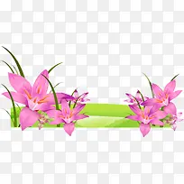 ��ɫ�������-������