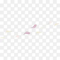 花瓣-空若网 花瓣-空若网