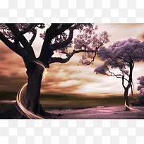 松树主题插画-空若网 松树主题插画-空若网