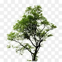 ���̵Ĵ���-������