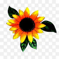 抽象鲜花图片鲜花边框素材-空若网 抽象鲜花图片鲜花边框素材-空若网