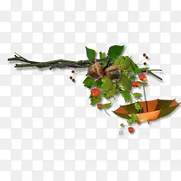 树枝点缀-空若网 树枝点缀-空若网