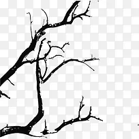 树枝-空若网 树枝-空若网