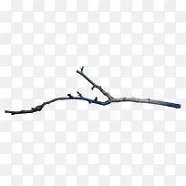 枝丫-空若网 枝丫-空若网