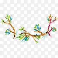 ˮ����֦���-������