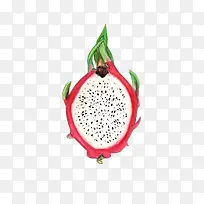 火龙果切面-空若网 火龙果切面-空若网