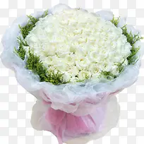 爱情白玫瑰图片素材-空若网 爱情白玫瑰图片素材-空若网