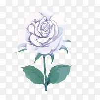 矢量白玫瑰-空若网 矢量白玫瑰-空若网