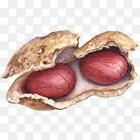 手绘剥开的花生食物-空若网 手绘剥开的花生食物-空若网