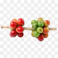 一串请红色的水果-空若网 一串请红色的水果-空若网