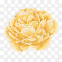 ˮ���ֻ��ɫ����-������