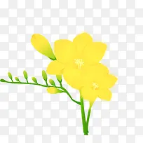 黄色花卉-空若网 黄色花卉-空若网