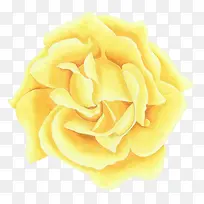 水彩手绘鲜花-空若网 水彩手绘鲜花-空若网