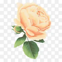 ˮ���ֻ��ʻ�-������