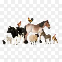 ½�ض�������-������