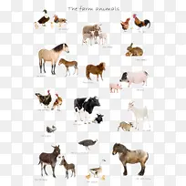 ½�ض�������-������