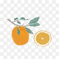 矢量橙子-空若网 矢量橙子-空若网