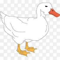 鸭子矢量素材-空若网 鸭子矢量素材-空若网