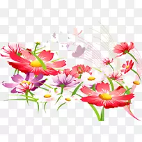 花紫罗兰-花泉-空若网 花紫罗兰-花泉-空若网