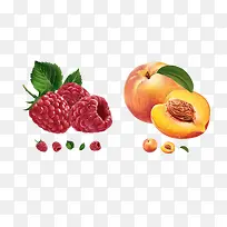 矢量水果-空若网 矢量水果-空若网