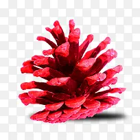 血红松果圣诞节素材-空若网 血红松果圣诞节素材-空若网