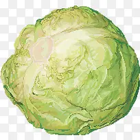 蔬菜-空若网 蔬菜-空若网